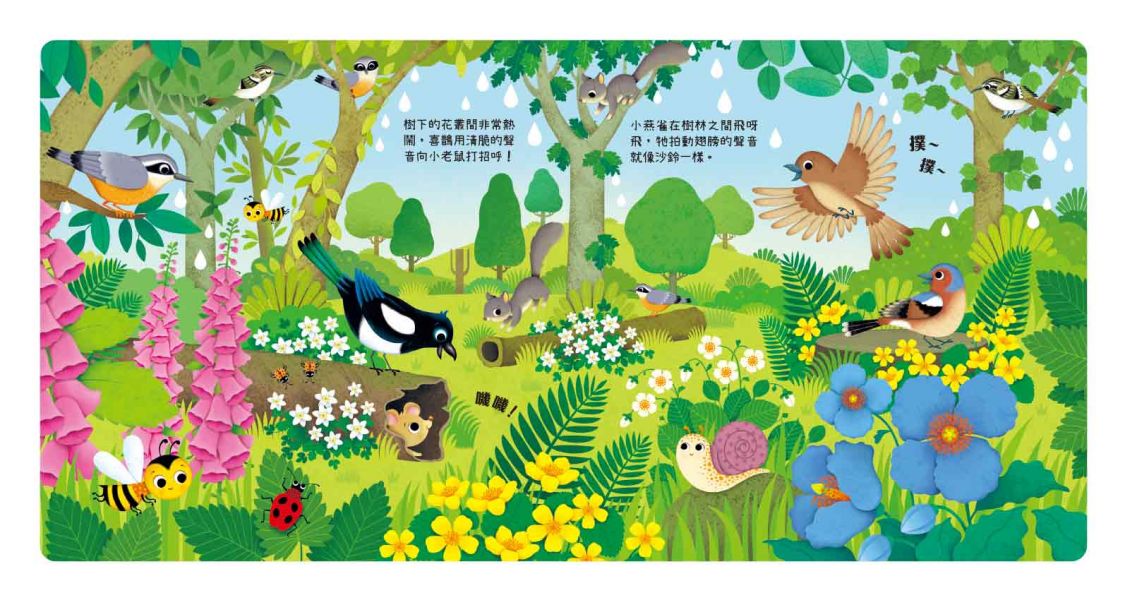 叮叮咚咚音樂會-啾啾樂團